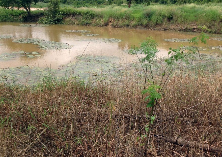 Large Land for Sale in Pranburi