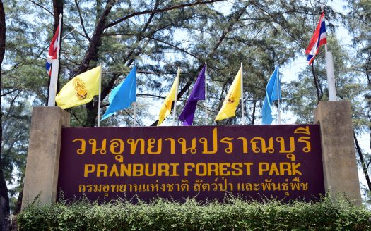 Pranburi Forest Park