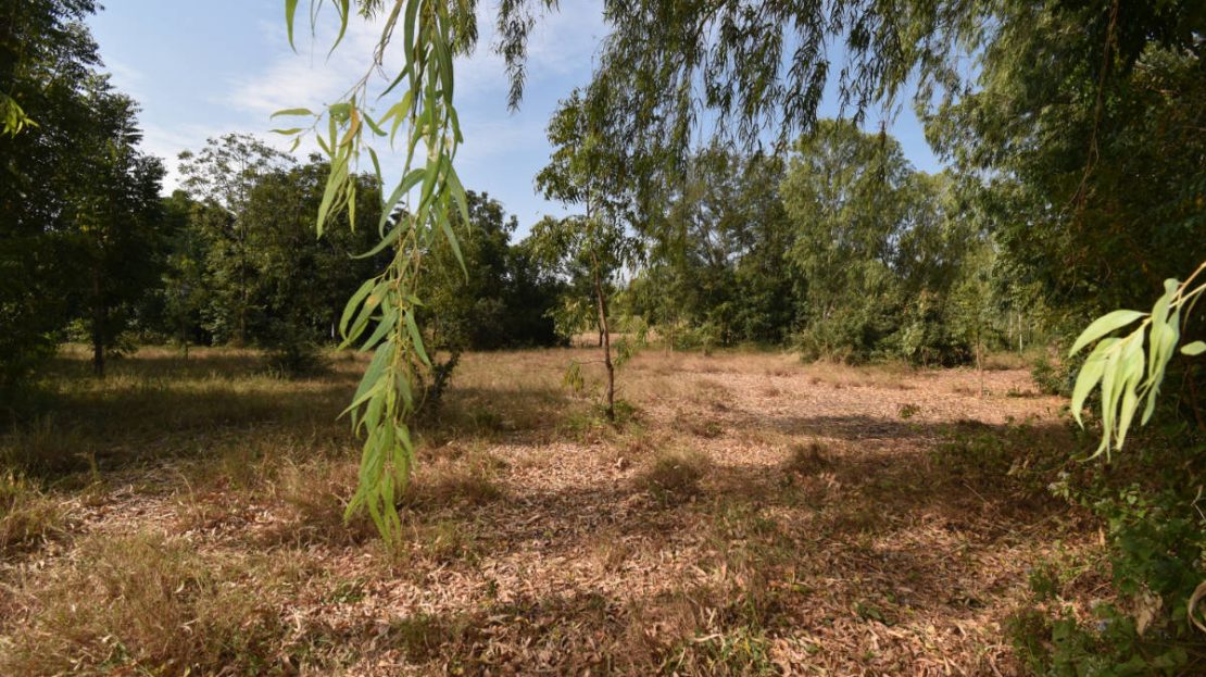 Land for sale in Khao Kalok