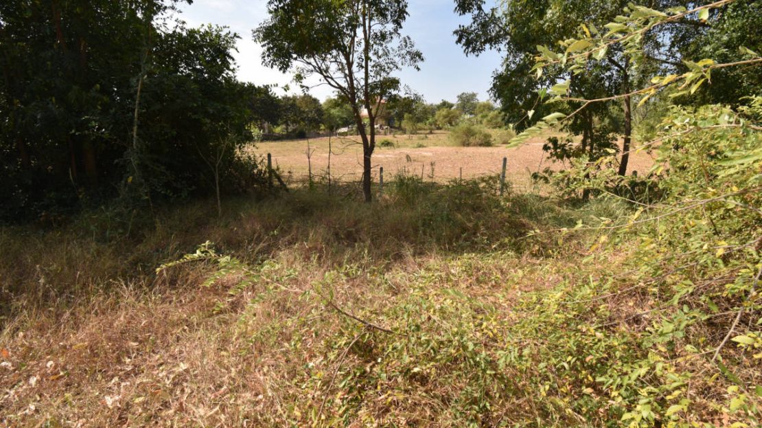 Land for sale in Khao Kalok