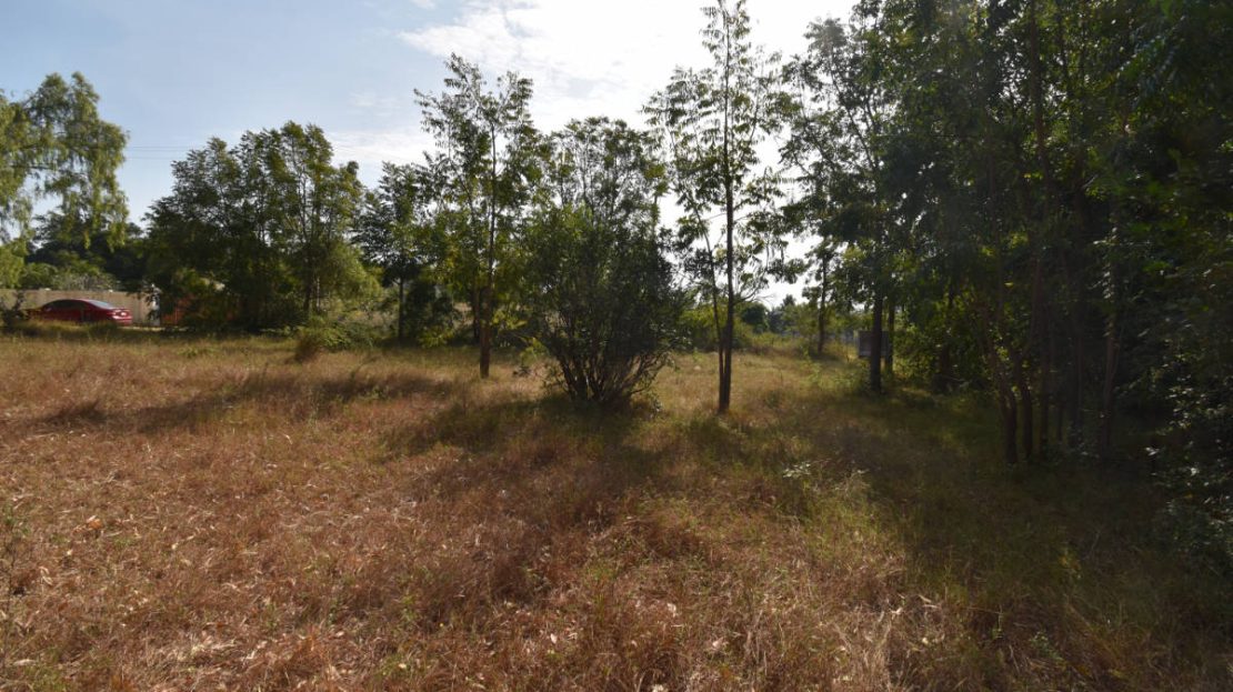 Land for sale in Khao Kalok