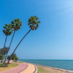 Pak Nam Pran - A Quiet Beach Town Guide 1 Pranburi, Thailand 3 palm trees Pak Nam Pran