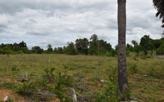 Excellent Land for Building a Home