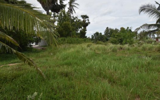 1 Rai Land for Sale in Paknampran