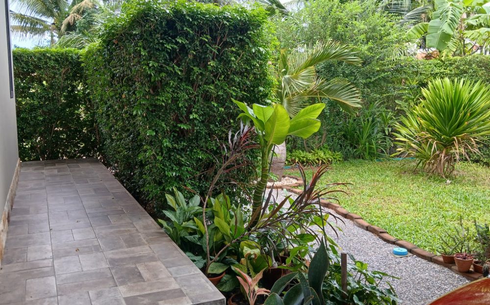 car park entrance from back