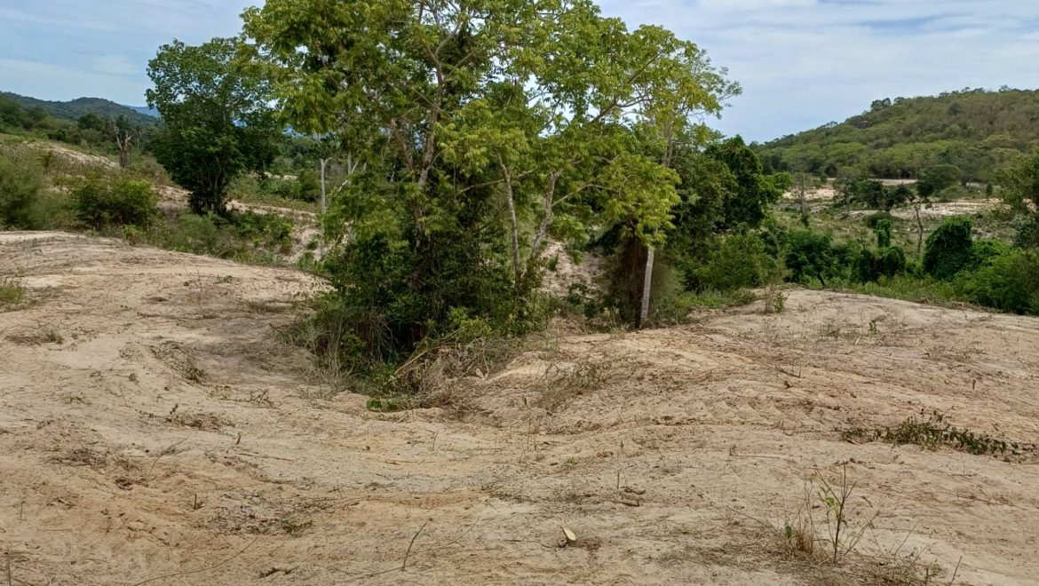 Large land parcels for sale in Pranburi